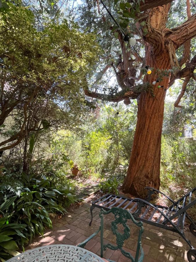 Constantia Guest House Cape Town Luaran gambar